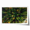 Rolled wall art print showcasing a serene landscape with vibrant trees and a blue sky, ideal for home décor, packaged securely for delivery in a protective tube.