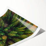 Vibrant rolled print showcasing a serene landscape with stylized trees in rich greens and browns, ideal for enhancing home decor and creating a calming atmosphere.