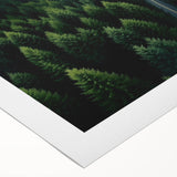 Vibrant rolled canvas showcasing a stunning landscape of trees, ideal for home decor. The artwork features rich greens and earthy tones, enhancing any space.