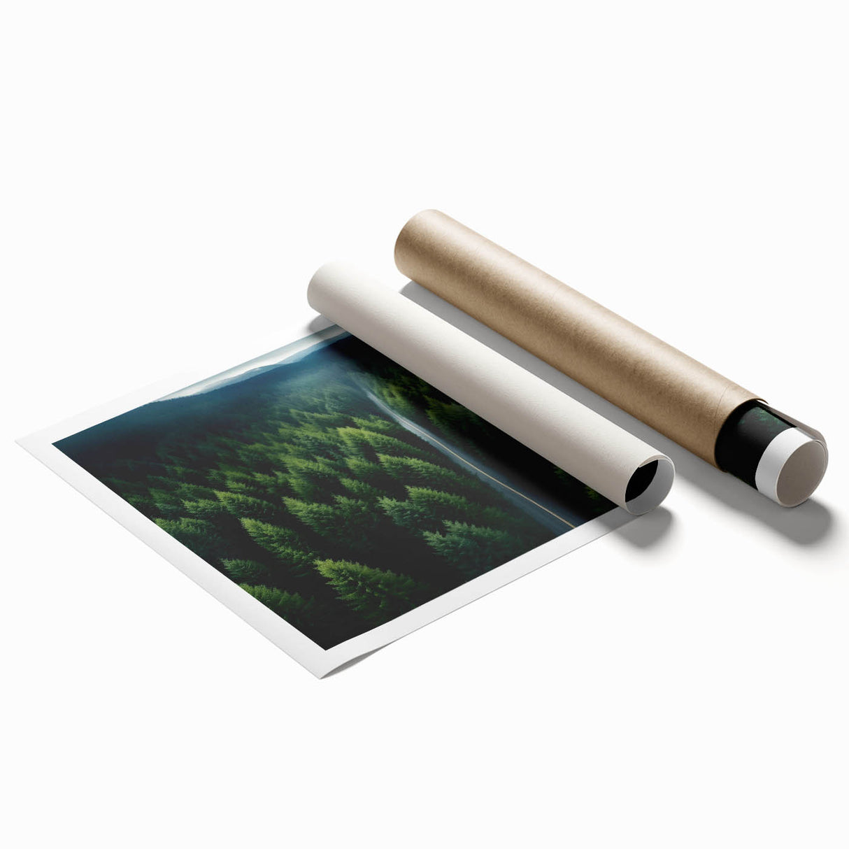 Rolled print of a serene landscape featuring tall, green trees against a blue sky, showcasing vibrant colors and intricate details, perfect for home decor.