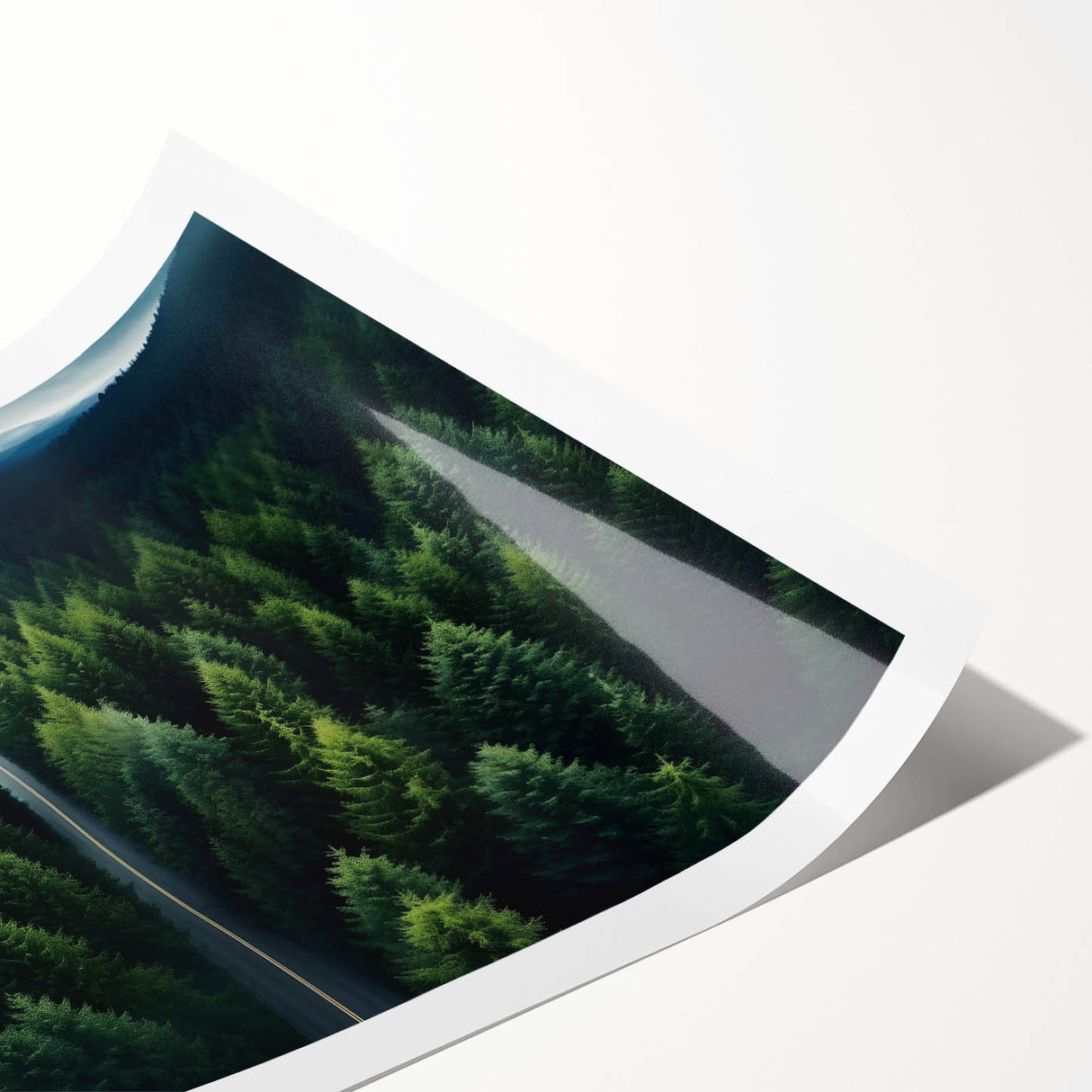 Rolled print of a serene landscape featuring tall green trees and a tranquil sky, showcasing vibrant colors ideal for home decor. Perfect for nature lovers.