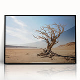 Framed acrylic wall art featuring a serene landscape with trees, showcasing vibrant colors and intricate details, ideal for modern home decor.