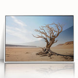 Framed acrylic wall art featuring a vibrant landscape design with trees, set in a sleek white frame, ideal for modern home decor. Perfect for nature lovers.