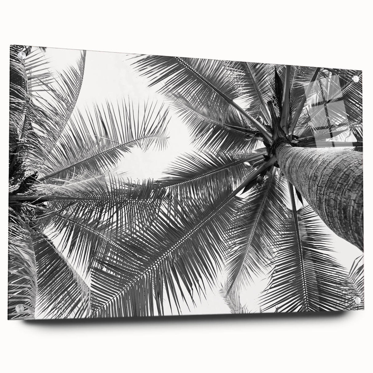 Acrylic glass wall art featuring a vibrant landscape design with trees, displayed in a modern setting. The artwork is framed with decorative pins, enhancing its visual appeal. Ideal for home decor enthusiasts seeking nature-inspired designs.