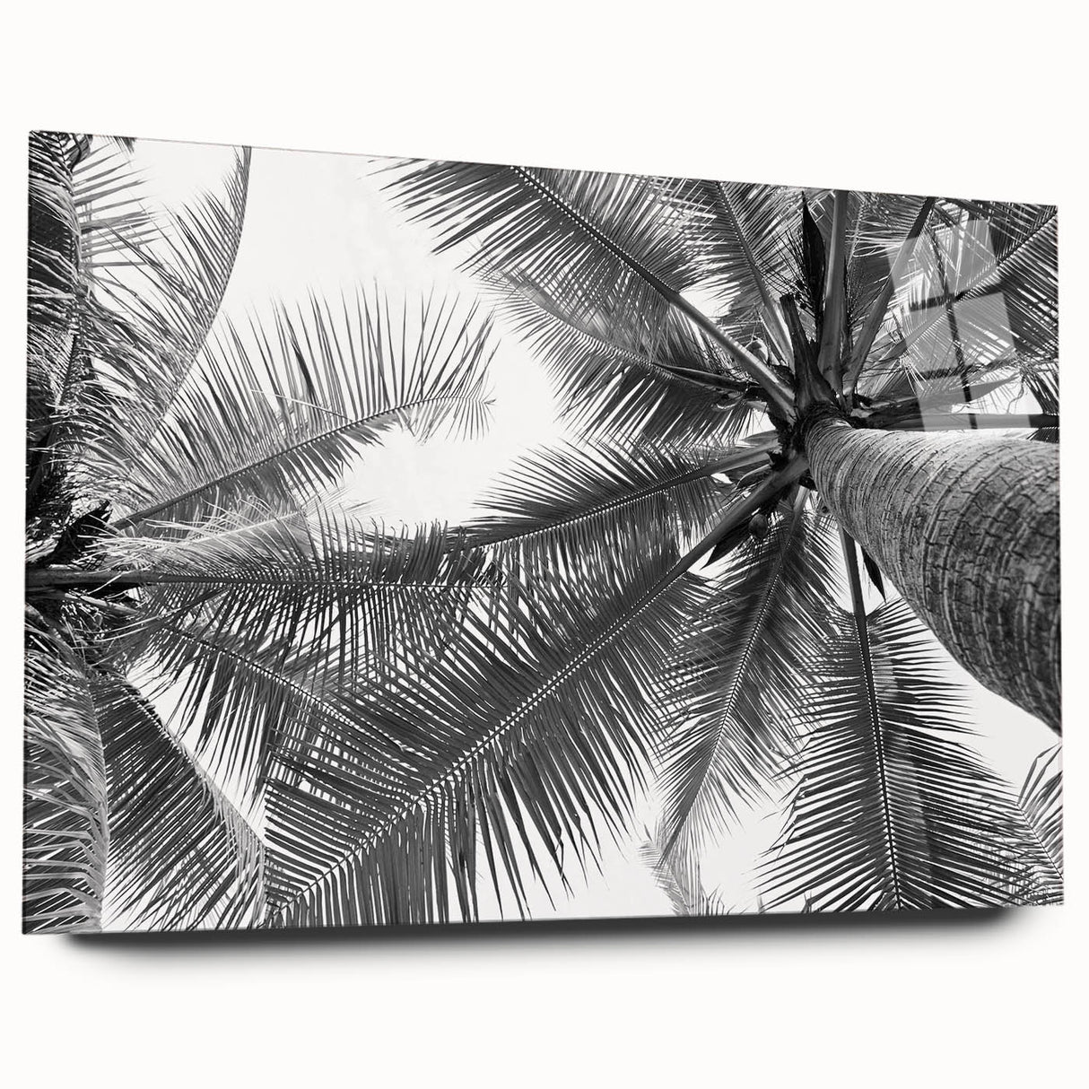 Acrylic glass wall art featuring a vibrant landscape with trees, showcasing rich colors and intricate details, ideal for modern home decor. Perfect for nature lovers looking to enhance their living space with elegant artwork.