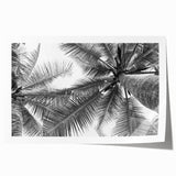 Elegant wall art print showcasing a serene landscape with lush green trees, perfect for enhancing home decor. The piece features vibrant colors and intricate details, ideal for nature lovers and art enthusiasts.