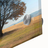 Close-up of a vibrant acrylic glass wall art piece showcasing a detailed landscape design with lush trees, perfect for enhancing modern home decor.