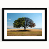 Framed wall art featuring a serene landscape with trees, displayed in a sleek black frame with a mat, perfect for modern home decor. Ideal for nature enthusiasts and art lovers.