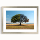 Framed wall art collection featuring a serene landscape with vibrant trees, silver matting, and a sleek front view, ideal for modern home decor.