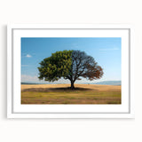 Framed wall art featuring a serene landscape with trees, presented in a white mat and frame, ideal for home decor and enhancing interior aesthetics.