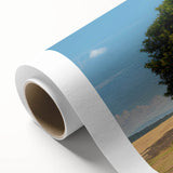 Rolled canvas showcasing a vibrant landscape featuring lush green trees and a serene blue sky, ideal for enhancing home decor with nature-inspired art.