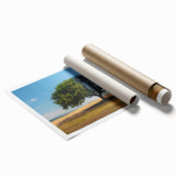 Vibrant rolled print of a serene landscape featuring lush green trees and a tranquil atmosphere, perfect for home decor, emphasizing nature’s beauty and tranquility.