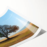 Rolled print of a serene landscape featuring vibrant green trees and a tranquil blue sky, ideal for home decor, showcasing nature's beauty and artistry.