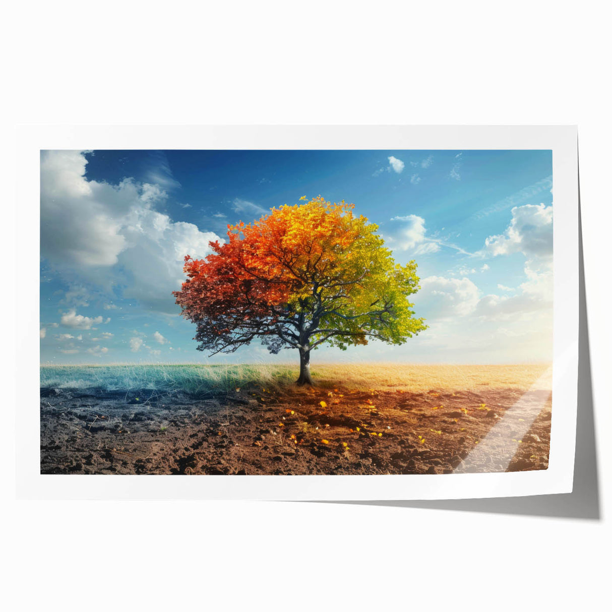 Rolled print of a serene landscape featuring tall, green trees and a vibrant blue sky, perfect for home decor and nature enthusiasts, showcasing tranquility and beauty.