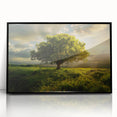 Framed acrylic wall art showcasing a serene landscape with trees, featuring a sleek black frame, enhancing modern decor with its peaceful natural aesthetic.