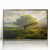 Framed acrylic wall art showcasing a stunning landscape with vibrant trees and golden accents, perfect for enhancing modern home decor. Ideal for nature-inspired interiors.