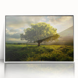 Framed acrylic wall art showcasing a serene landscape of trees, set against a white background, perfect for modern home decor. Ideal for nature enthusiasts.