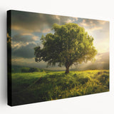 Stretched canvas wall art depicting a serene landscape with tall trees and vibrant greenery, designed for modern home decor. Ideal for nature enthusiasts and art lovers.