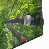 Close-up of a vibrant acrylic glass wall art piece showcasing a stunning landscape with lush trees, perfect for adding a touch of nature to home decor. This artwork highlights intricate details and rich colors, making it an ideal choice for modern interiors.