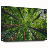 Acrylic glass wall art collection showcasing a vibrant landscape design with trees, displayed in a side view, featuring secure pins for mounting.