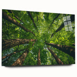 Acrylic wall art collection showcasing a vibrant landscape with trees, featuring a side view design that highlights rich colors and intricate details, ideal for modern decor.