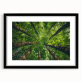 Framed wall art collection showcasing a serene landscape with trees, featuring a black mat and frame, ideal for home decor or office settings.