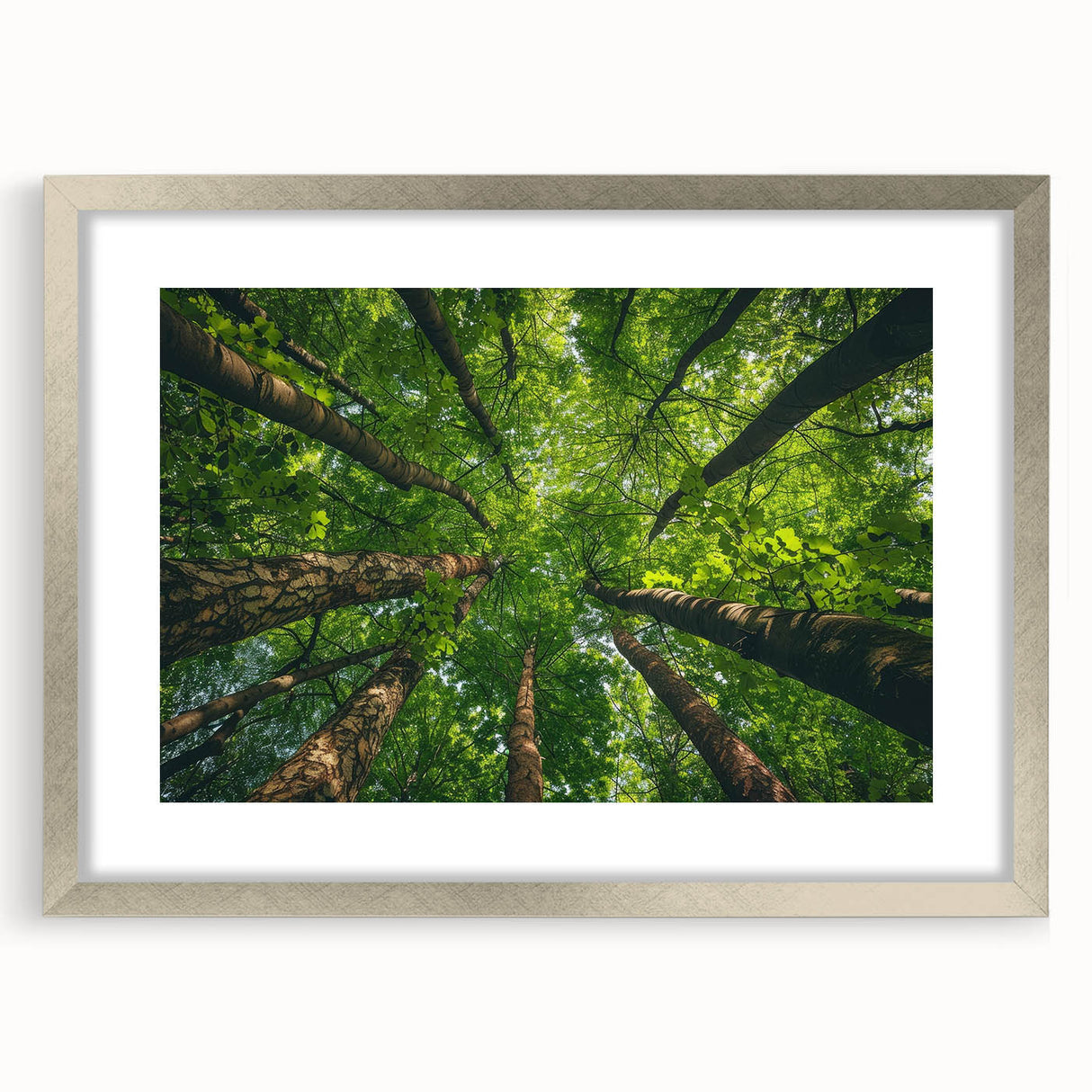 Framed wall art collection featuring a serene landscape with trees, set in a silver frame with a mat, ideal for home decor in living spaces and offices.