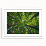 Framed wall art collection showcasing a serene landscape with trees, featuring a white mat and sleek frame, perfect for modern home decor.