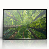 Framed acrylic wall art collection showcasing a serene landscape with vibrant green trees, set against a sleek black frame, ideal for modern home décor.