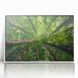 Framed acrylic wall art showcasing a vibrant landscape with trees, designed to enhance any room's decor. The artwork features a white frame and is ideal for nature lovers seeking to add a touch of tranquility to their space.