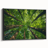 Framed canvas wall art showcasing a serene landscape with lush green trees, presented in a sleek black frame, perfect for enhancing home decor. The artwork adds a calming touch to any room, ideal for nature lovers seeking tranquility.