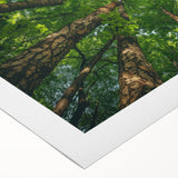 Rolled canvas wall art featuring a vibrant landscape design with lush green trees and a serene blue sky, ideal for enhancing home decor and creating a calming atmosphere.