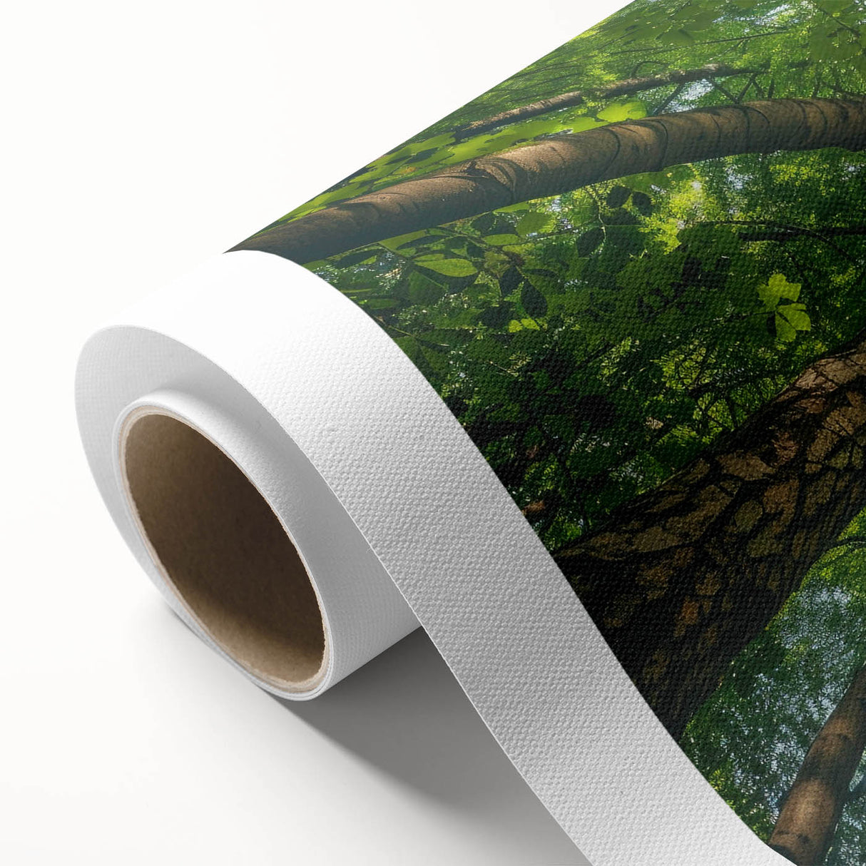 Rolled canvas art print showcasing a vibrant landscape design with lush green trees and a serene atmosphere, ideal for enhancing home decor. Packaged securely for safe delivery.