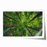 Rolled print showcasing a vibrant landscape design featuring lush green trees and a serene blue sky, perfect for home decor and nature lovers. This art piece adds an elegant touch to any room.