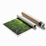 Rolled print showcasing a serene landscape with vibrant green trees and a soft blue sky, ideal for home decor, presented in a protective cardboard tube.