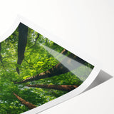 Rolled print showcasing a vibrant landscape of stylized trees, featuring rich greens and earthy tones, designed for wall art decoration. Perfect for nature-inspired interiors.