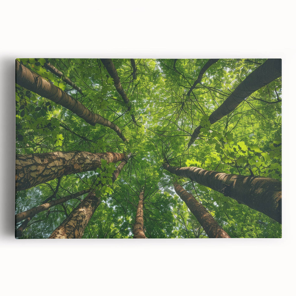 Stretched canvas wall art featuring a serene landscape of trees, showcasing vibrant greens and earthy tones, perfect for home decor and nature lovers.