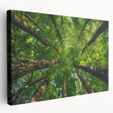 Stretched canvas wall art showcasing a serene landscape with vibrant trees, designed for home decor, featuring rich colors and intricate details.