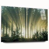 Acrylic wall art showcasing a vibrant landscape design with stylized trees, presented in a side view without pins, ideal for modern home decor.