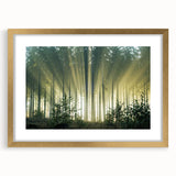 Framed wall art featuring a vibrant landscape with trees, set in a luxurious gold frame and mat. Ideal for enhancing home decor with natural beauty.