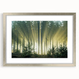 Framed art piece showcasing a serene landscape with trees, presented in a silver frame and mat, enhancing any home decor with natural beauty and elegance.