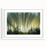 Framed wall art featuring a serene landscape design with trees, set in a white mat and frame, perfect for enhancing home decor and adding a touch of nature.