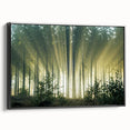 Framed canvas wall art showcasing a serene landscape with lush green trees, set against a black frame, ideal for modern home decor. Perfect addition to nature-themed interiors.
