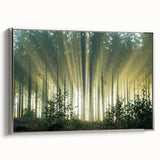 Framed canvas wall art showcasing a serene landscape with trees, designed in a modern style. The artwork features a silver frame, enhancing its elegance and sophistication. Perfect for home decor, this piece adds a touch of nature to any setting.
