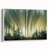 Framed canvas wall art showcasing a serene landscape with trees, featuring a white frame and side view display, perfect for enhancing home decor aesthetics.
