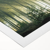 Vibrant rolled canvas showcasing a serene landscape with lush green trees and a tranquil blue sky, perfect for enhancing home decor. Ideal for nature lovers.