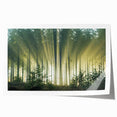 Rolled print showcasing a vibrant landscape with lush green trees and a serene sky, designed for wall art enthusiasts. Perfect for home decor or art collection.