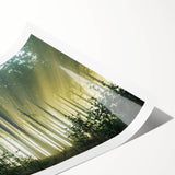 Rolled print showcasing a vibrant landscape design with detailed trees and foliage, ideal for home decor. Packaged securely in a robust cardboard tube for safe delivery.