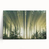 Stretched canvas wall art featuring a serene landscape of lush green trees under a blue sky, perfect for adding a touch of nature to your home decor.