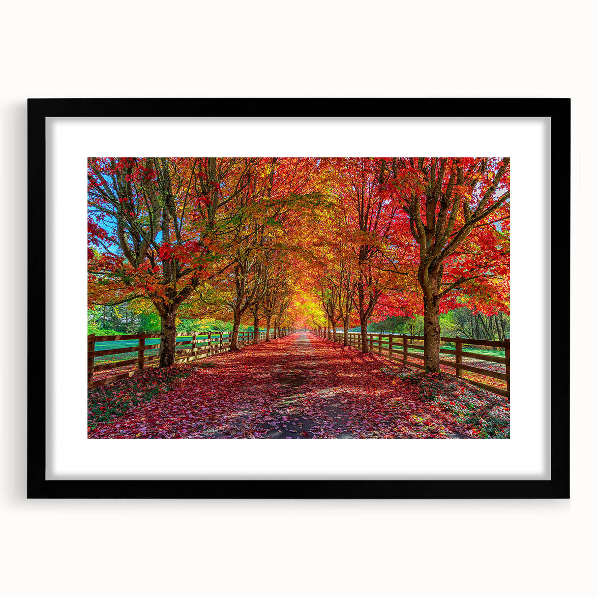 Black-framed wall art collection showcasing serene landscape trees design, featuring a mat for added elegance, perfect for enhancing home decor.